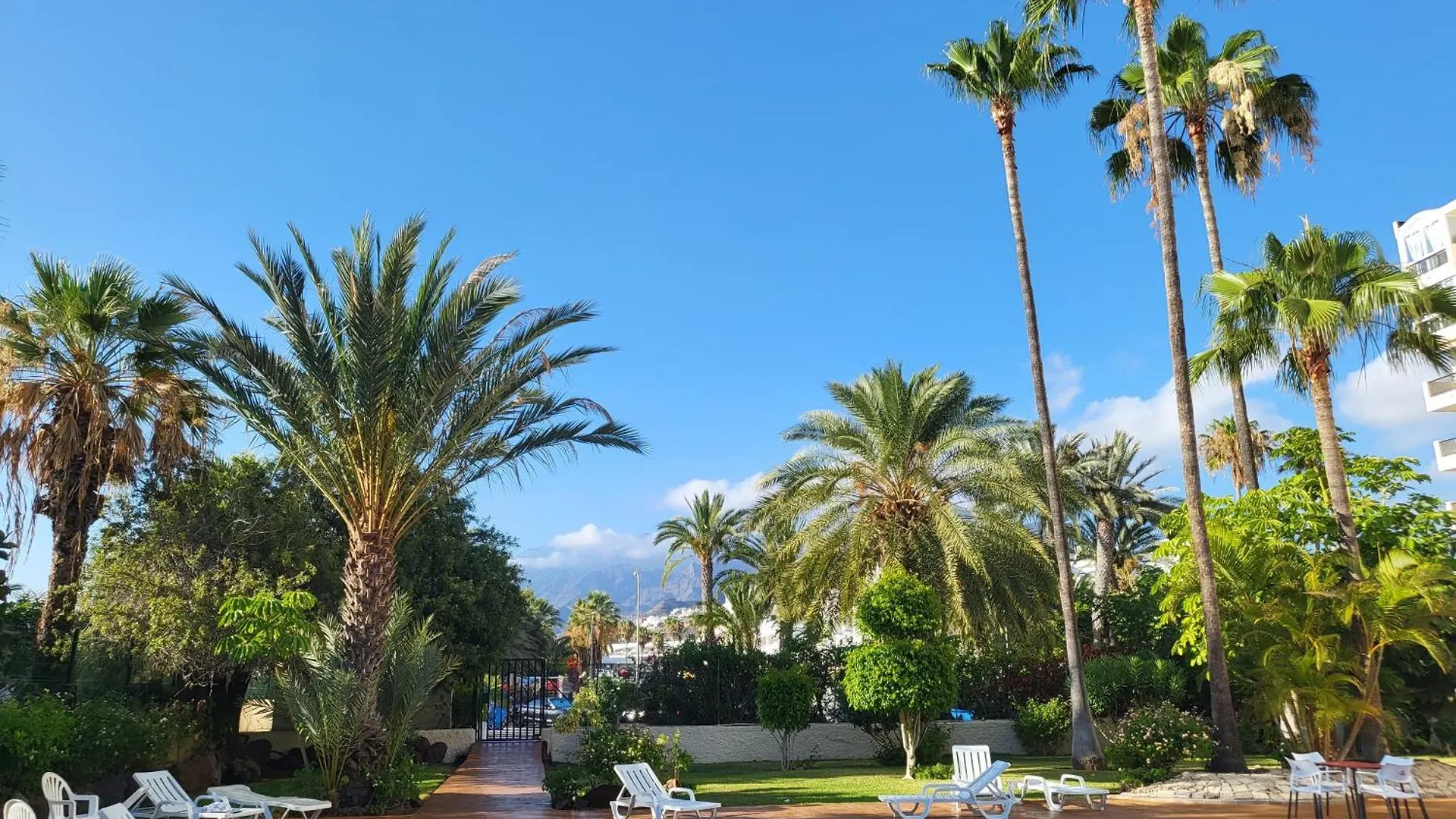 Playa De Las Americas El Dorado 0*, بلايا ذي لاس أميريكاس إسبانيا